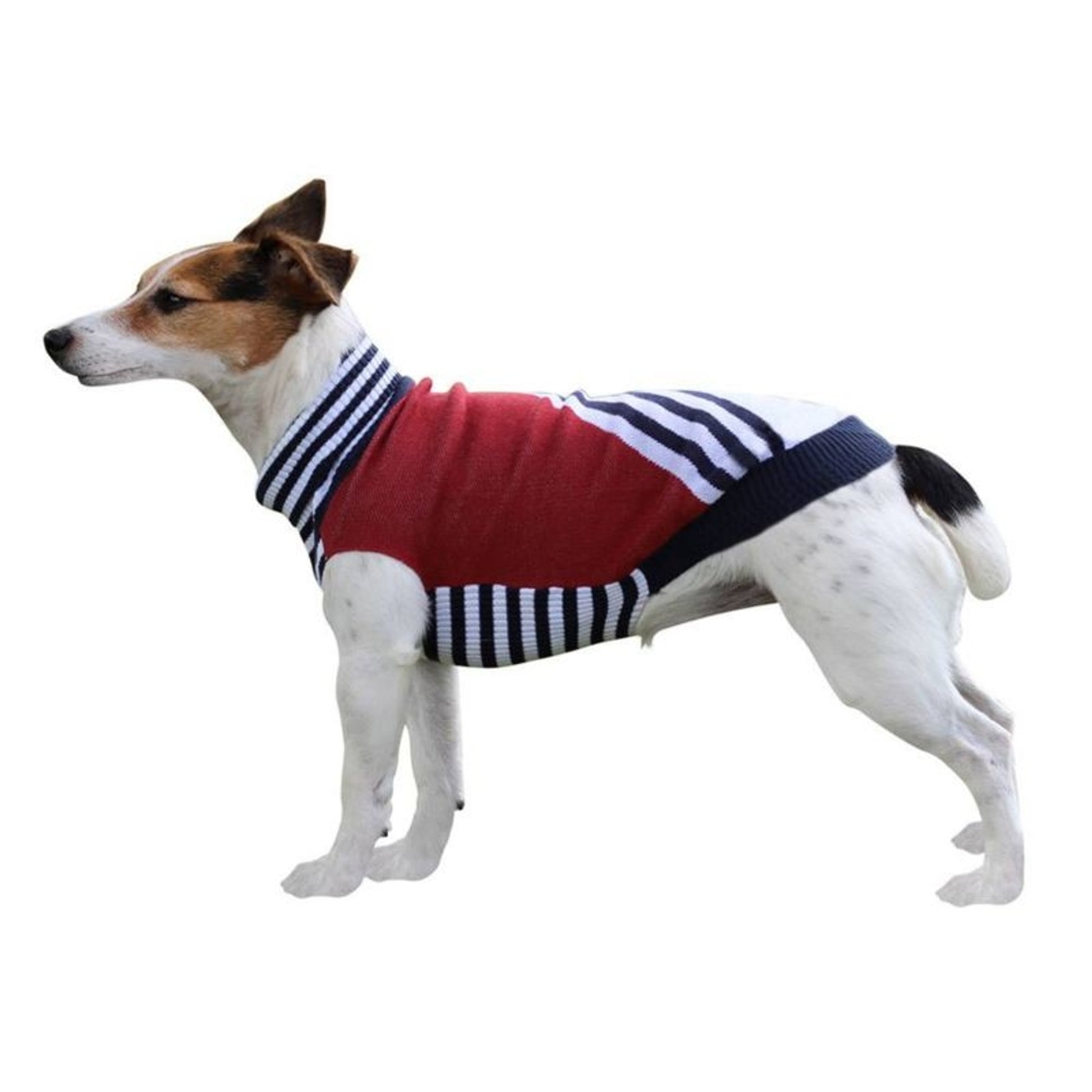 Halo Cal Knitted Dog Sweater
