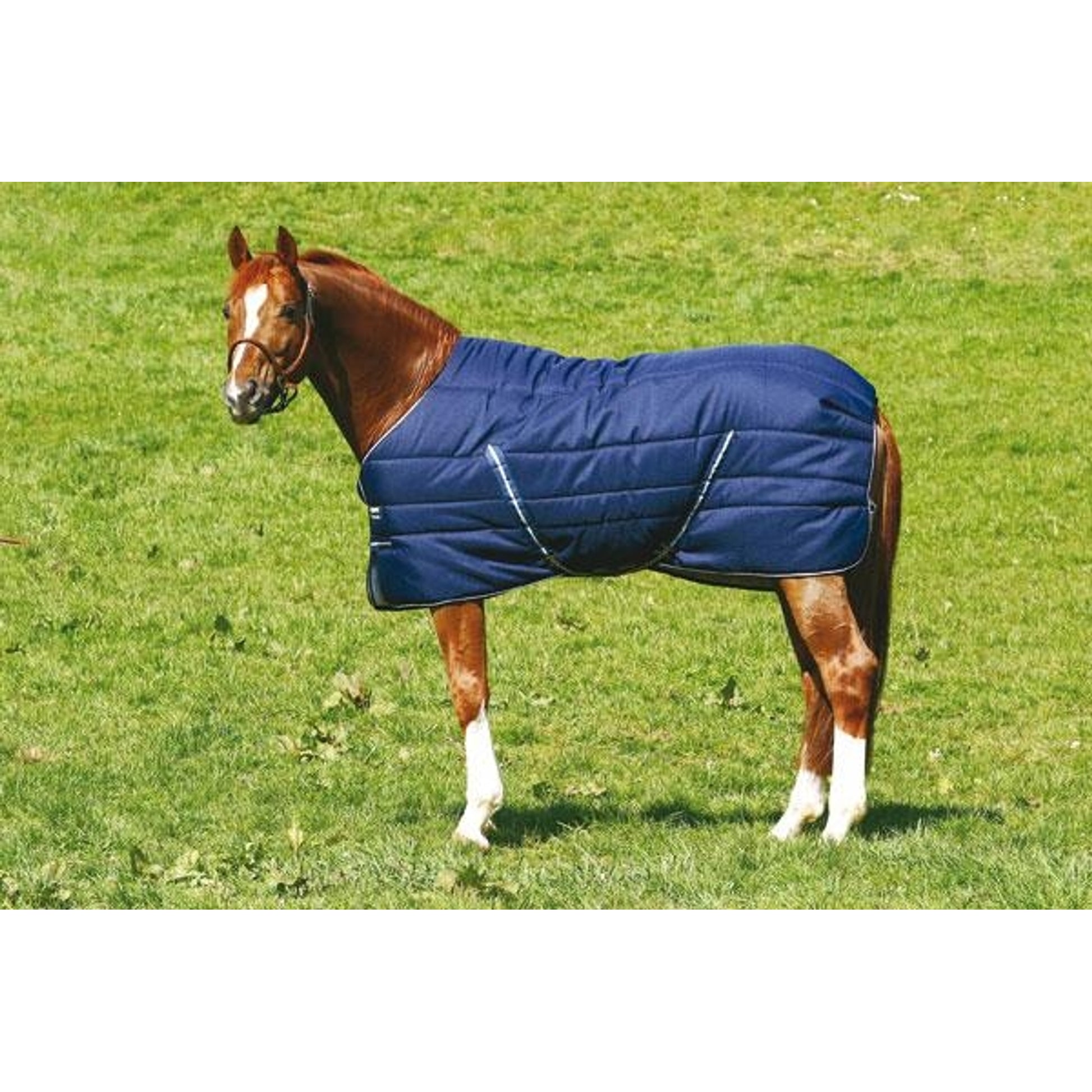Rambo Stable Blanket