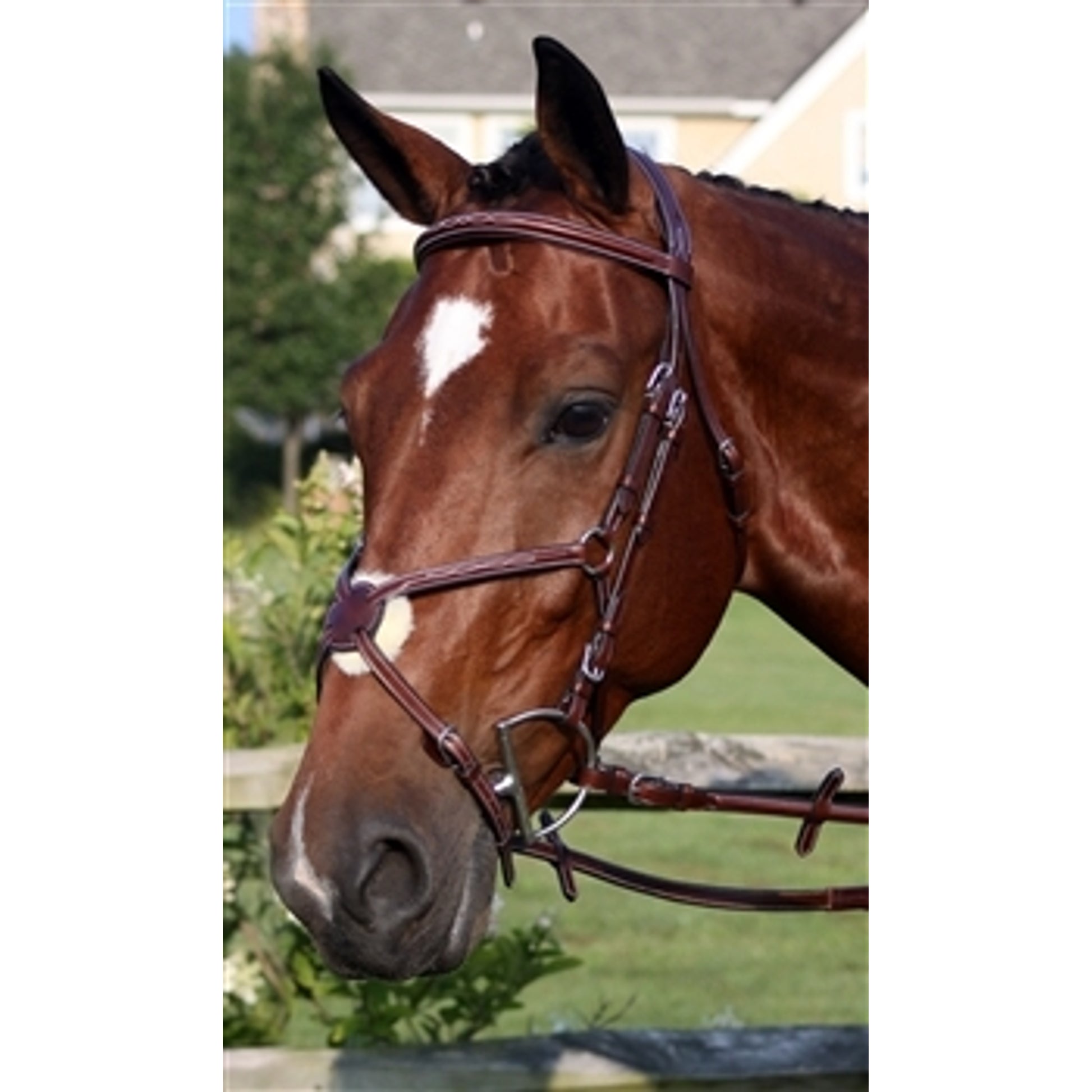Nunn Finer Milano Bridle