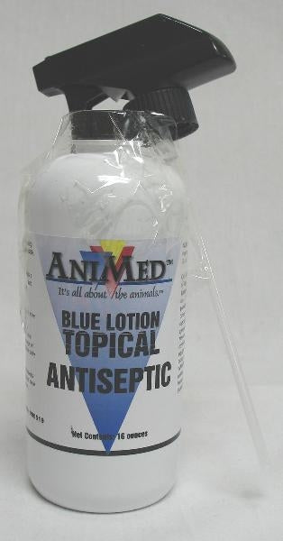 Blue Lotion