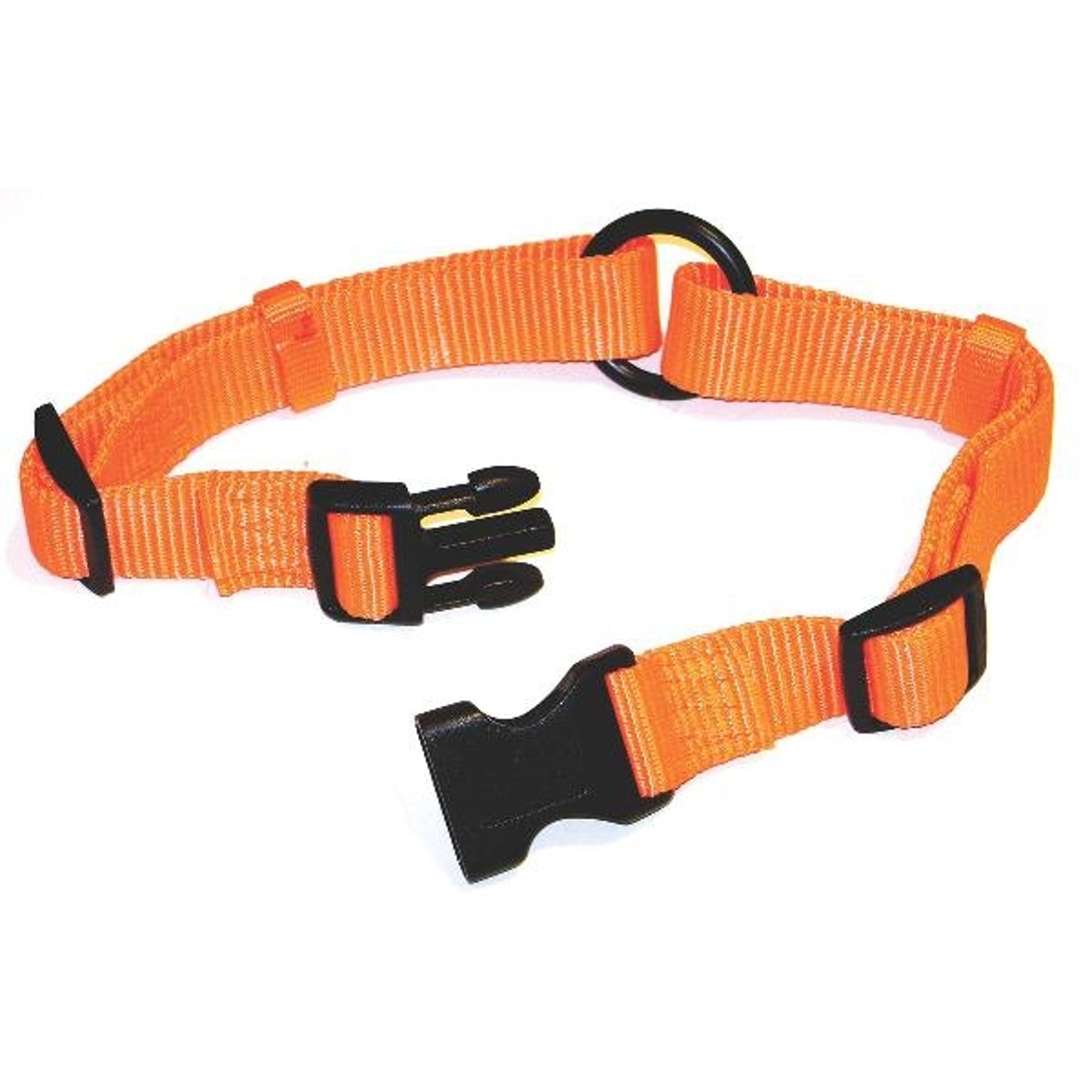 Hamilton Fits All Adjustable Nylon Dog Collar