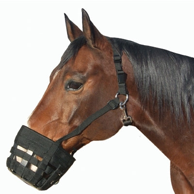 Best Friend Deluxe Grazing Muzzle