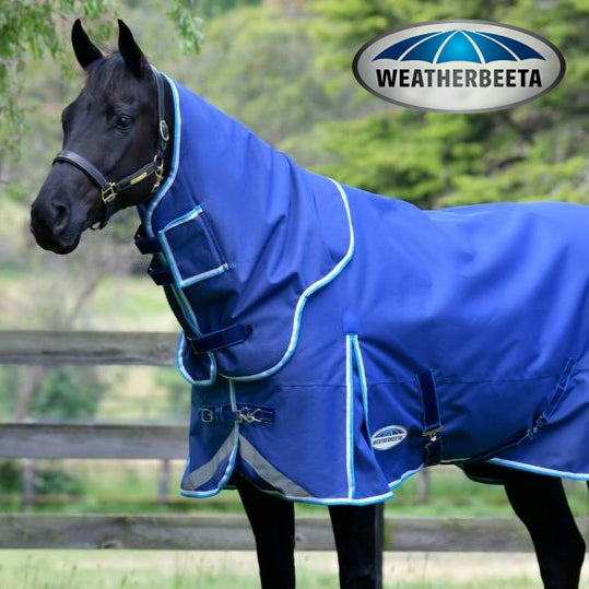 English Riding Full Chaps - Suede, Leather, Synthetic & More– HorseLoverZ