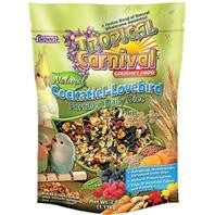 Tropical Carnival Natural Cockatiel