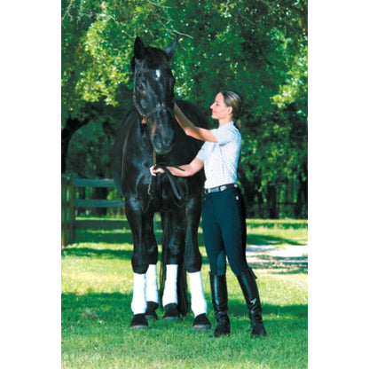 Devon Aire Ladies All Pro Classic Show Breeches
