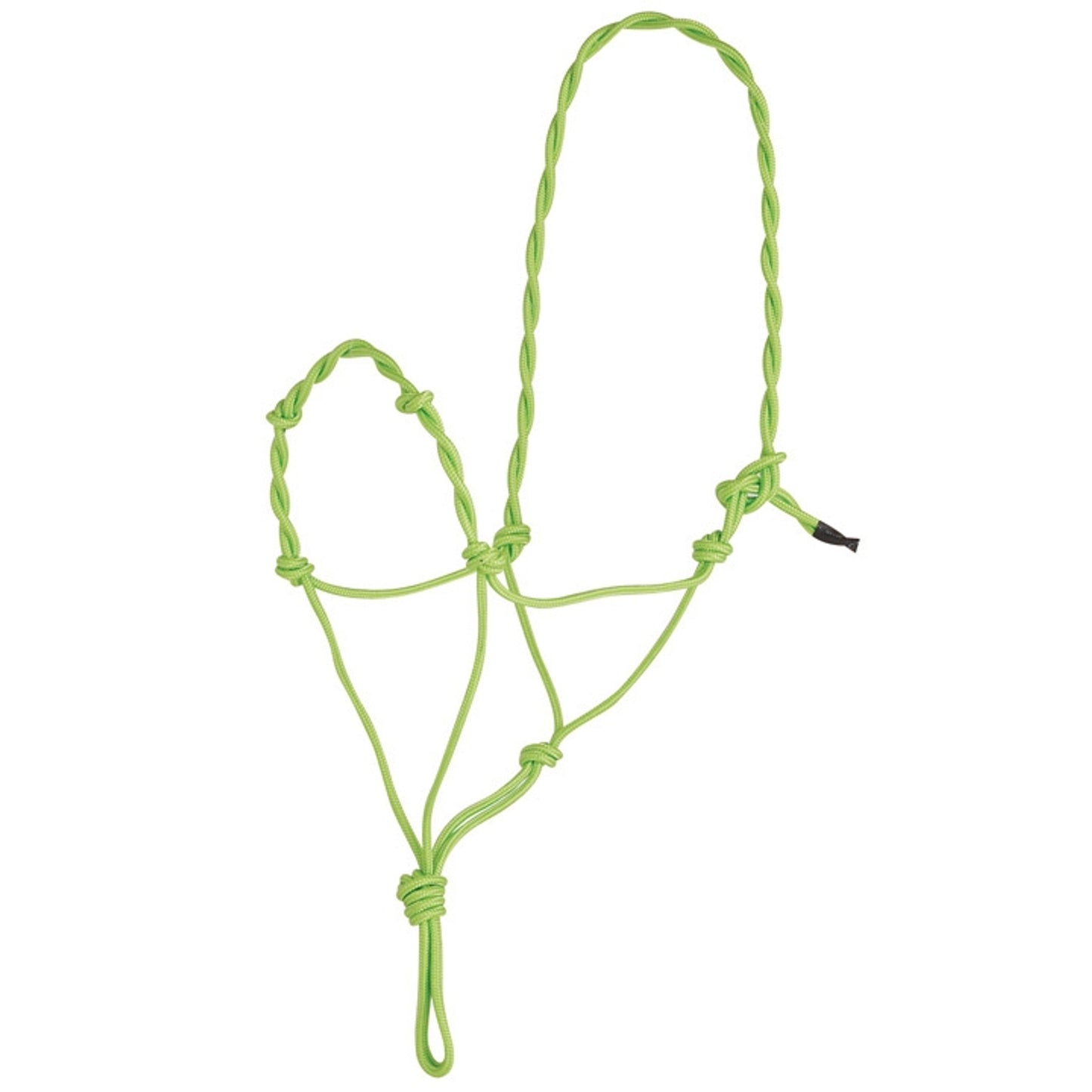 direct-40-100lime.jpg