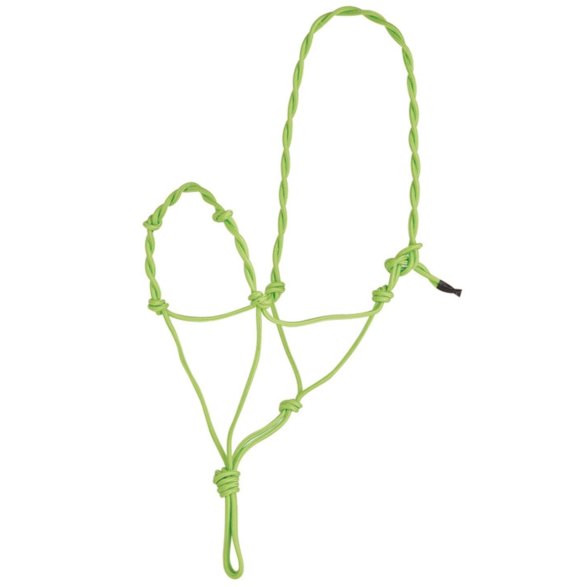 Direct Equine Rope Halters