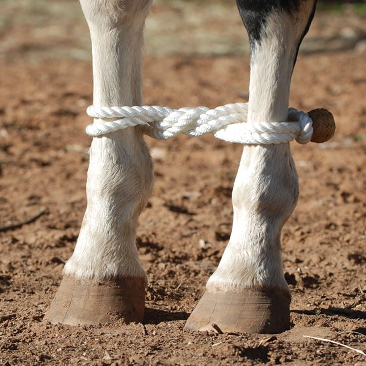 Martin Saddlery Rope Hobble