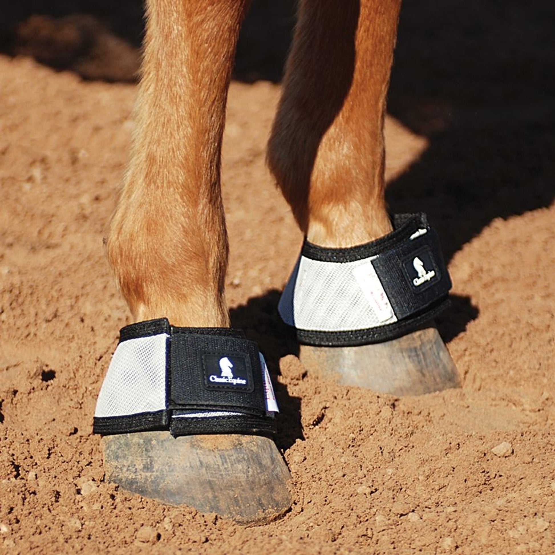 Classic Equine MagNTX Bell Boot