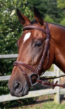Nunn Finer Modena Event Bridle