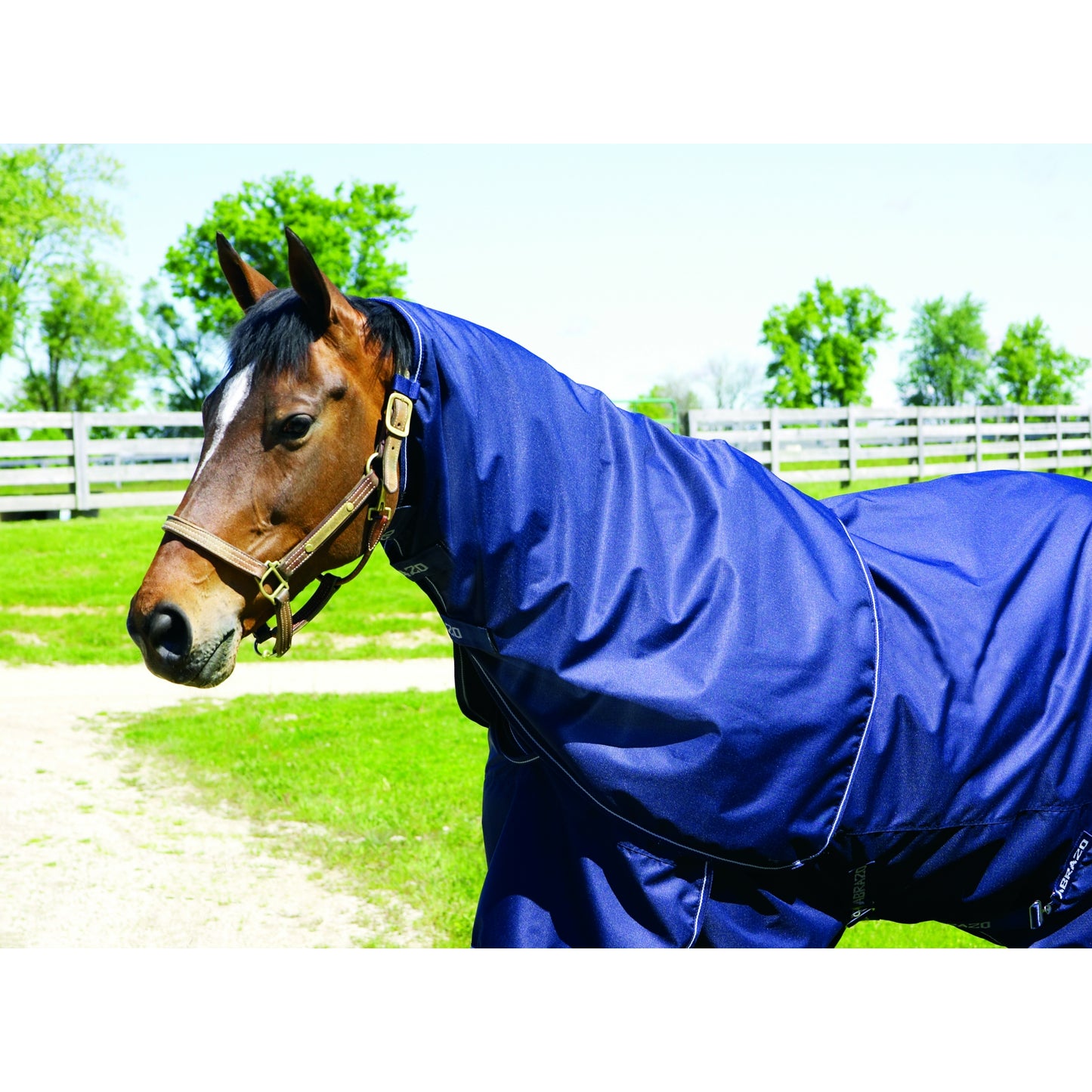 f813-f816navyneck.jpg