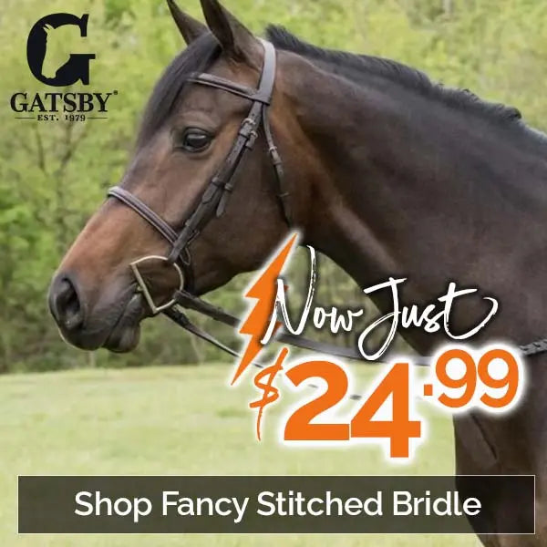 Two black horse boots with white fleece lining are displayed next to the text "$15.99" and "Shop Horse Boots" with the Gatsby brand logo in the top right corner.