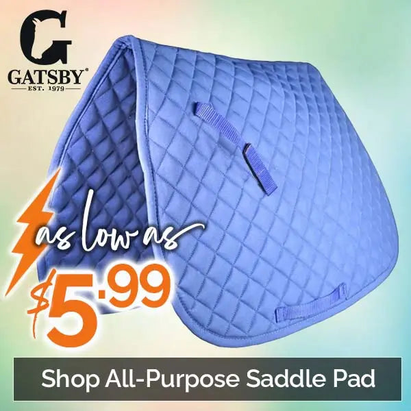 Blue quilted saddle pad with black "Gatsby" logo. Text: "As low as $5.99." Bottom caption: "Shop All-Purpose Saddle Pad." 
