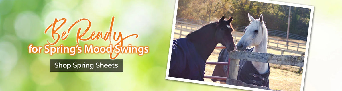 Kentucky Horsewear Couverture d'écurie Classic 200g | HorSeven GmbH Kentucky Horsewear Couverture d'écurie Classic 200g | HorSeven GmbH