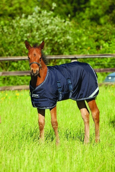 Amigo Foal Turnout Blanket