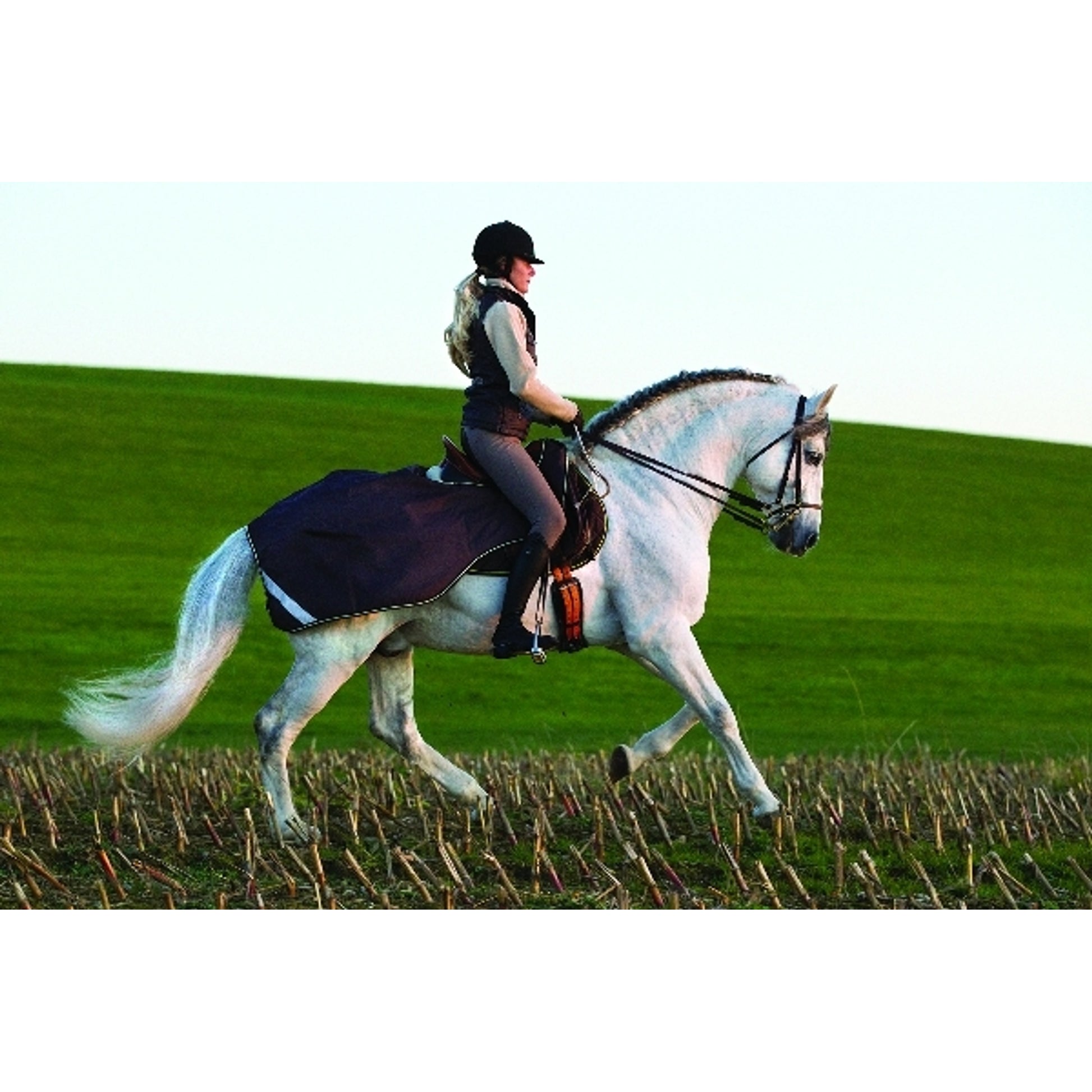 horseware-agrc20-bbw0_01.jpg
