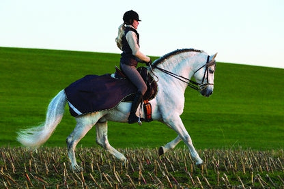 horseware-agrc20-bbw0_01.jpg
