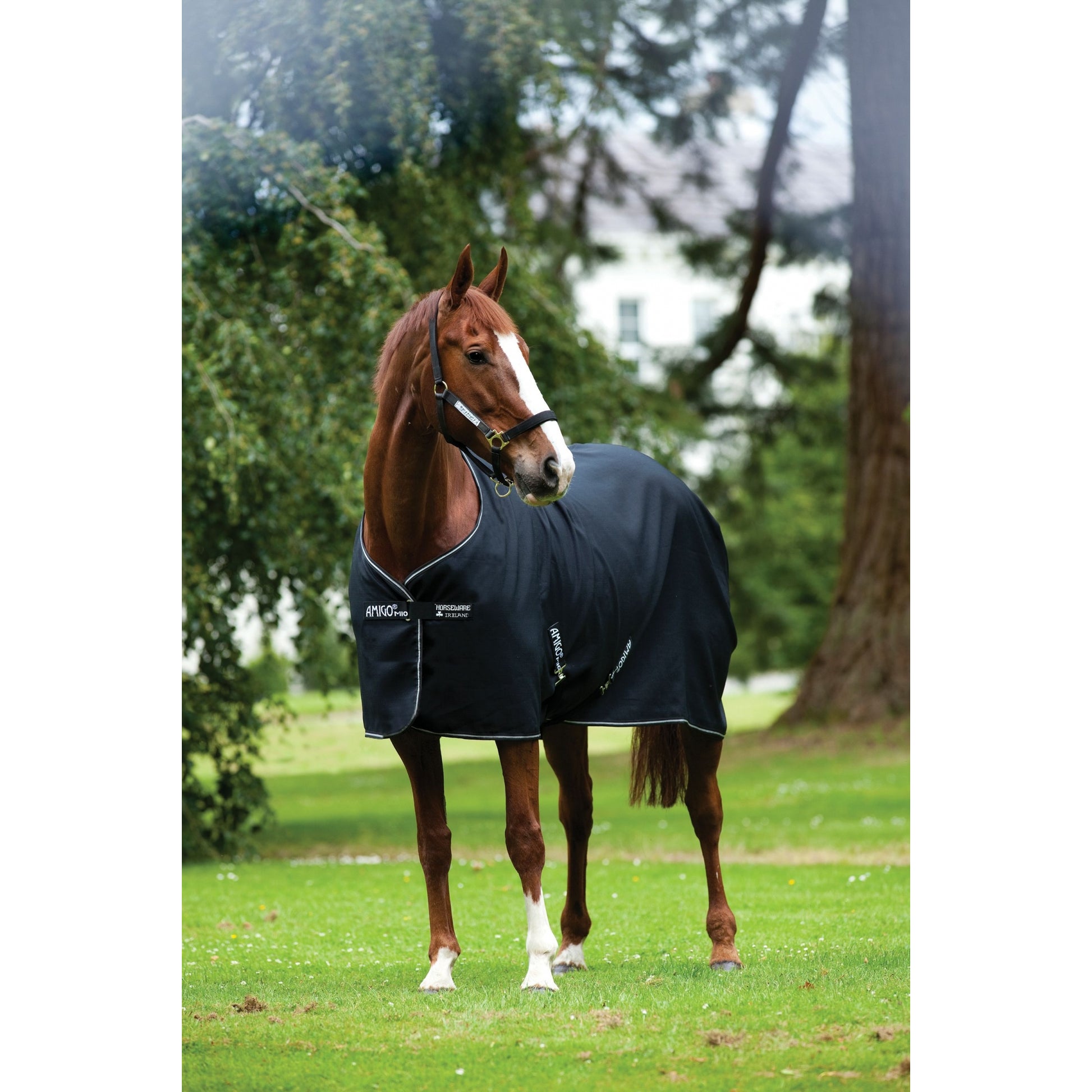 Amigo Mio Fleece - Removable Cross Surcingles