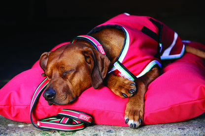 Amigo Waterproof Dog Blanket