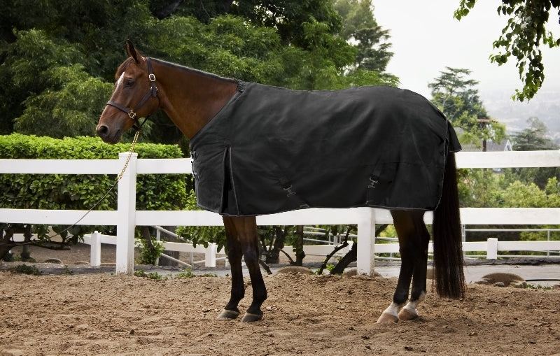 Kensington All Around Kens-I-Tech Turnout Rug