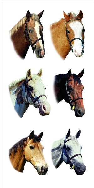 Horses 2X4 Stickers