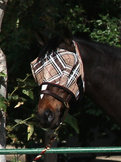 Kensington Fly Mask with Web Trim