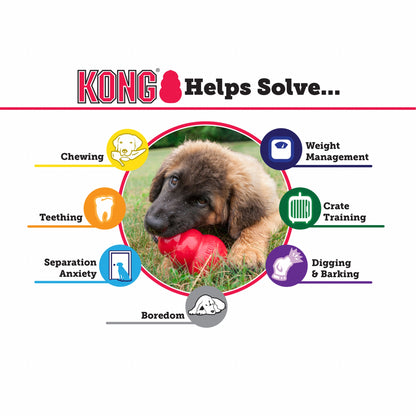 KONG Senior