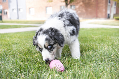 KONG Puppy Toy