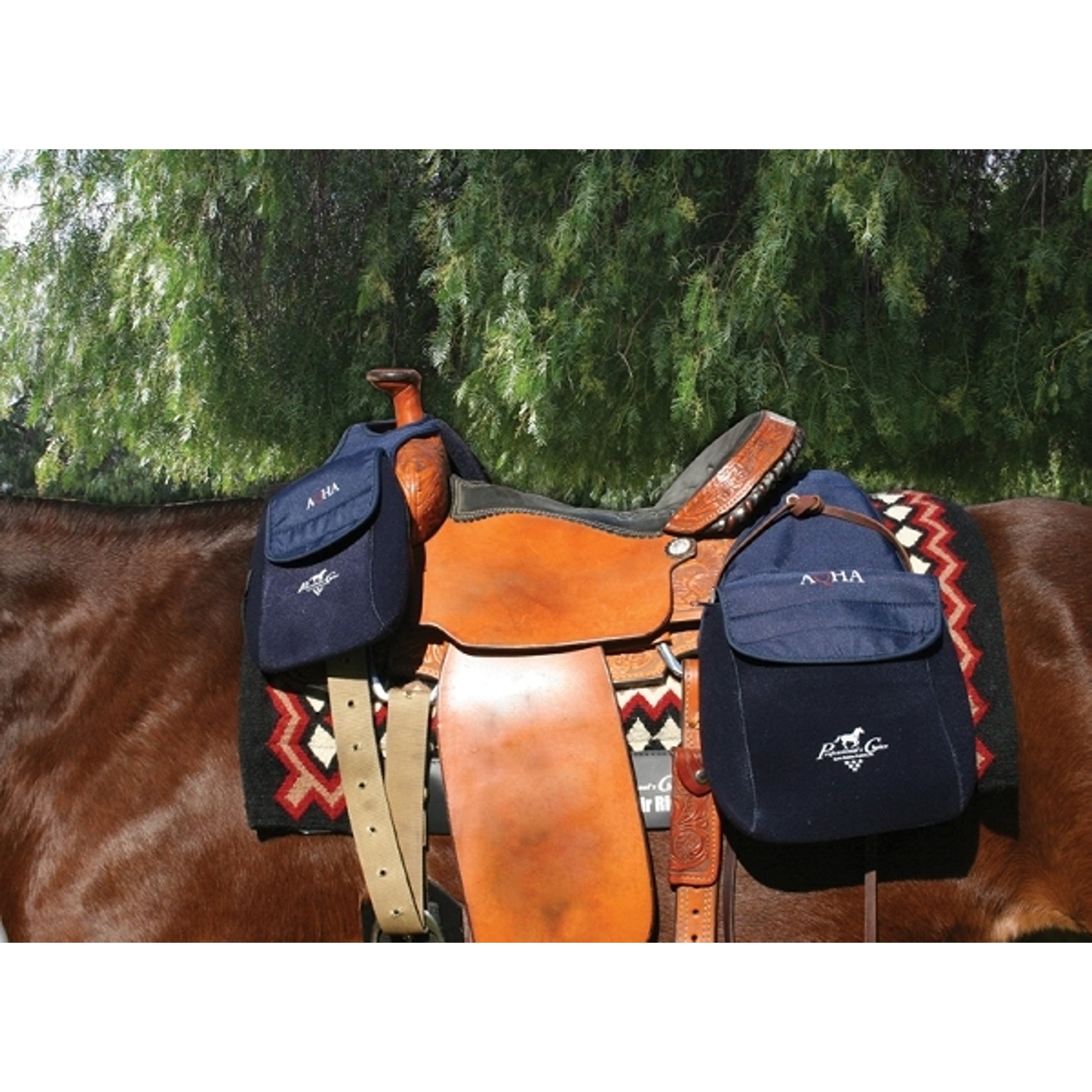 Professionals Choice AQHA Saddle Bags - Rear