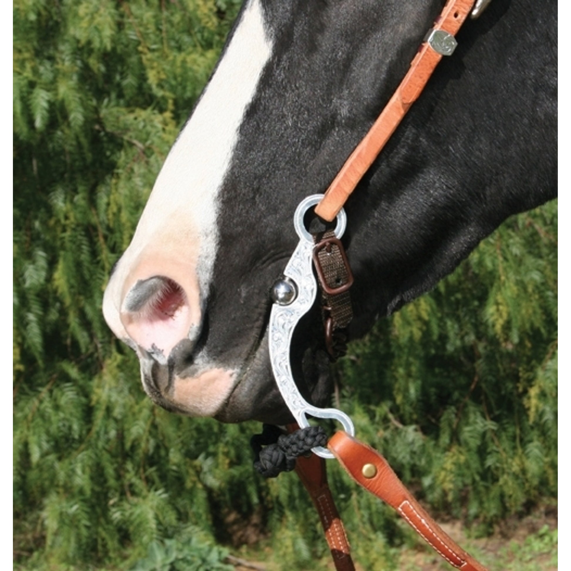 Professionals Choice Rio Snaffle