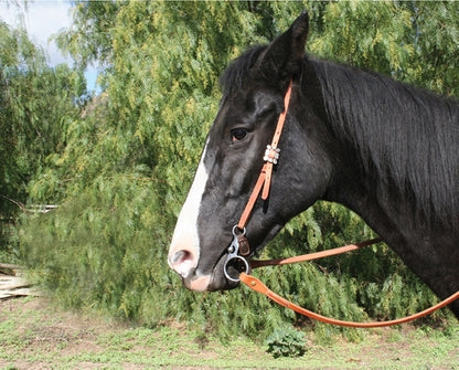 Professionals Choice RP Colt Breaker Correction