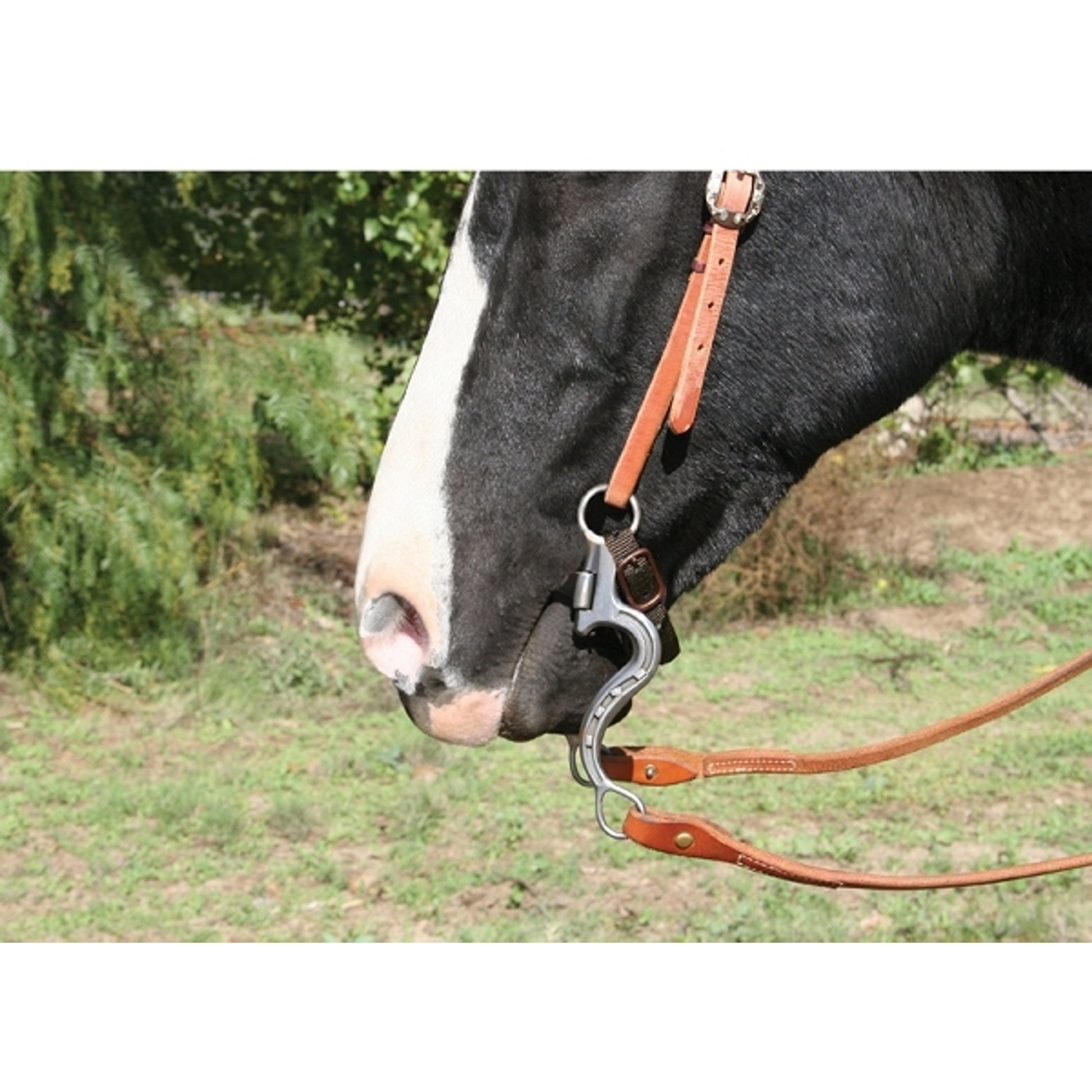 Professionals Choice RP Mackenzie Correction