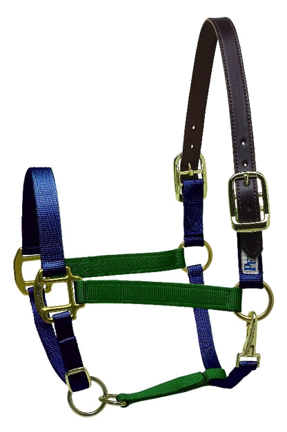 Perri's Color Vision Halter