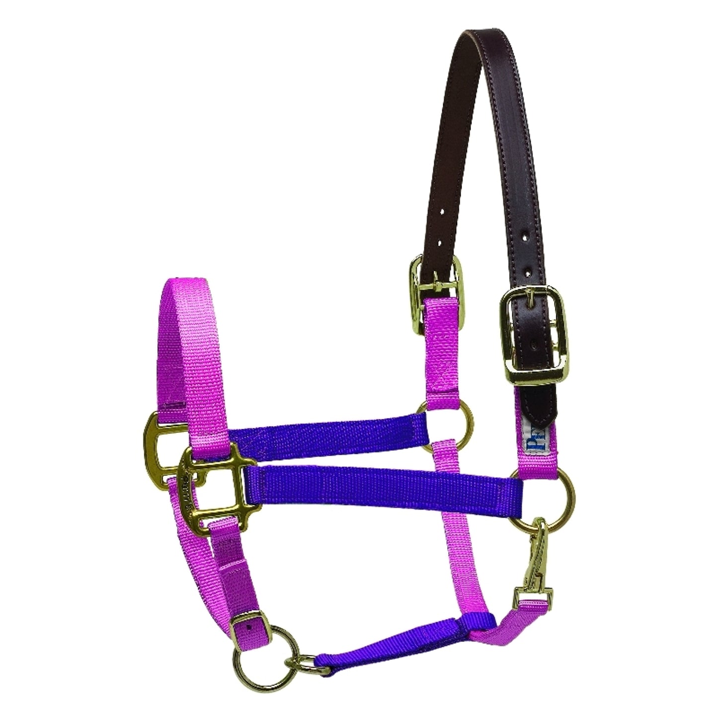 perris-153_purple-hotpink.jpg