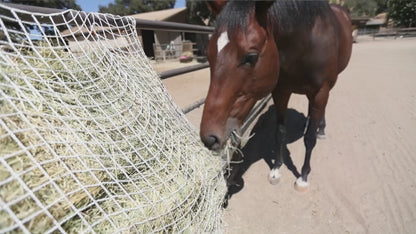 Freedom Feeder Slow Feeding Day Mesh Net