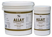 Adeptus Allay