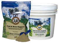 Silver Lining Feet & Bone Support