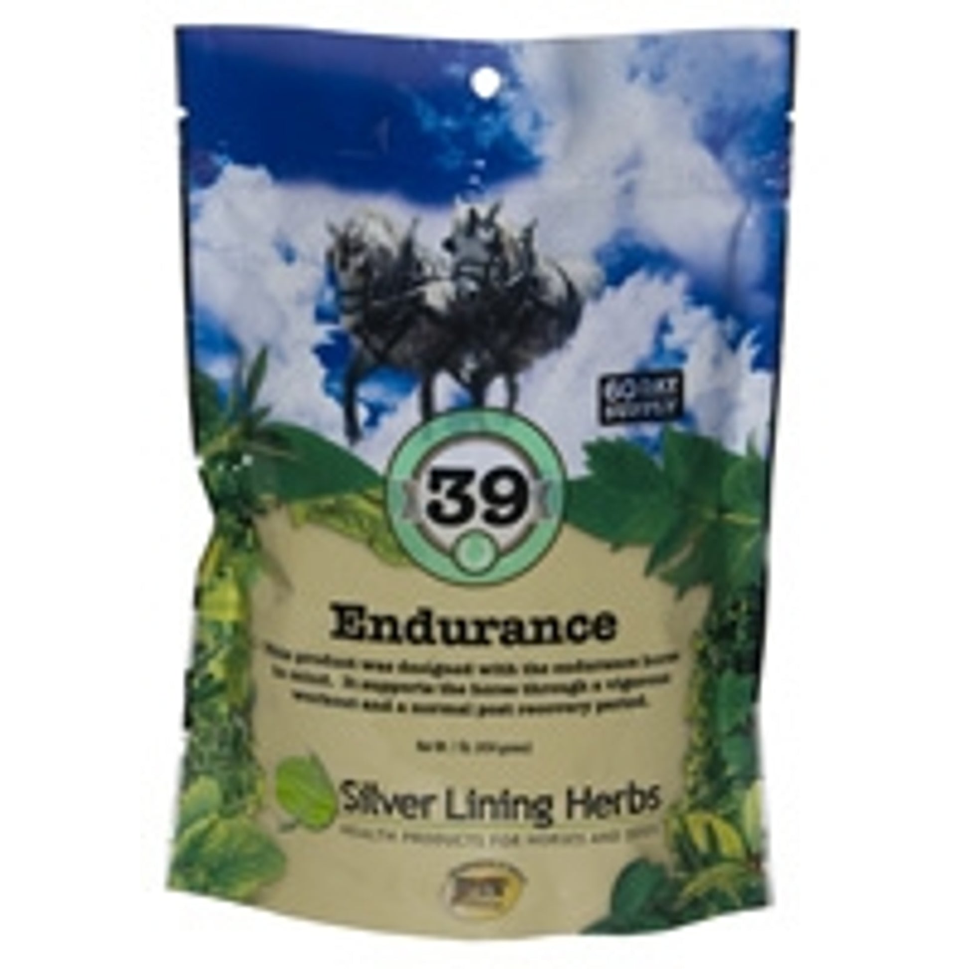 Silver Lining Endurance