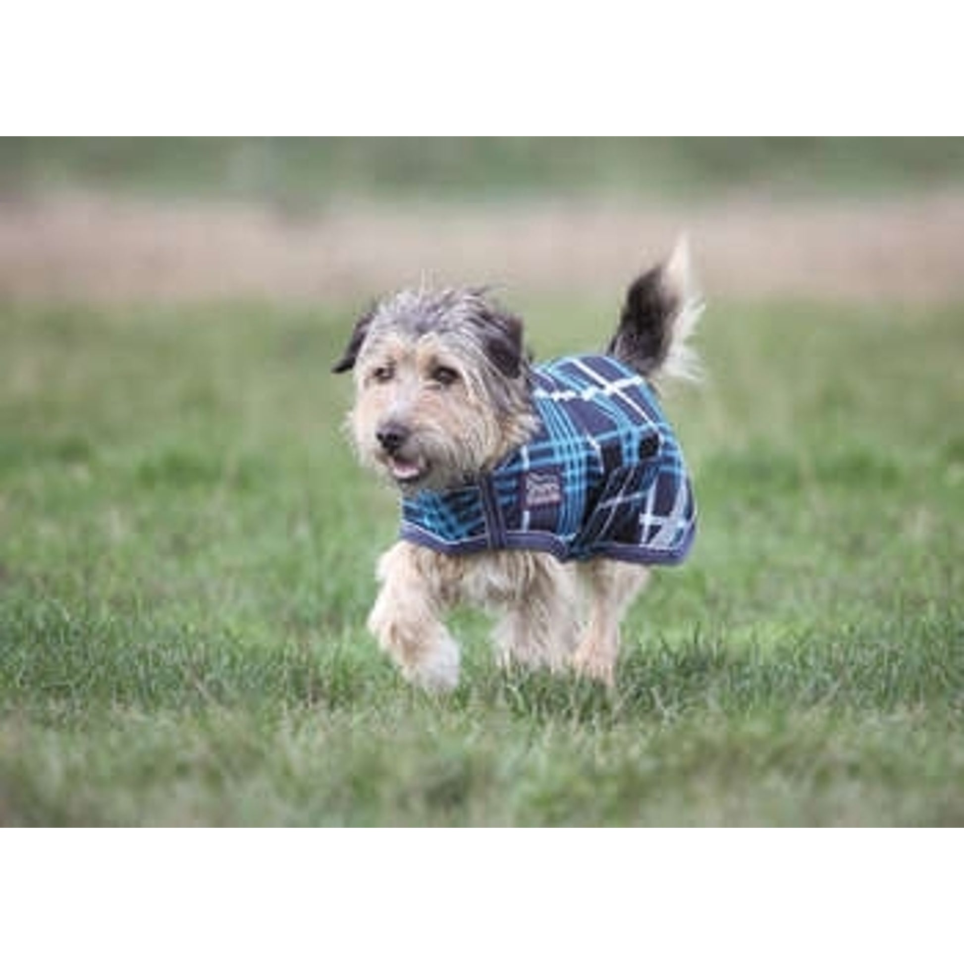 Shires Waterproof Dog Coat