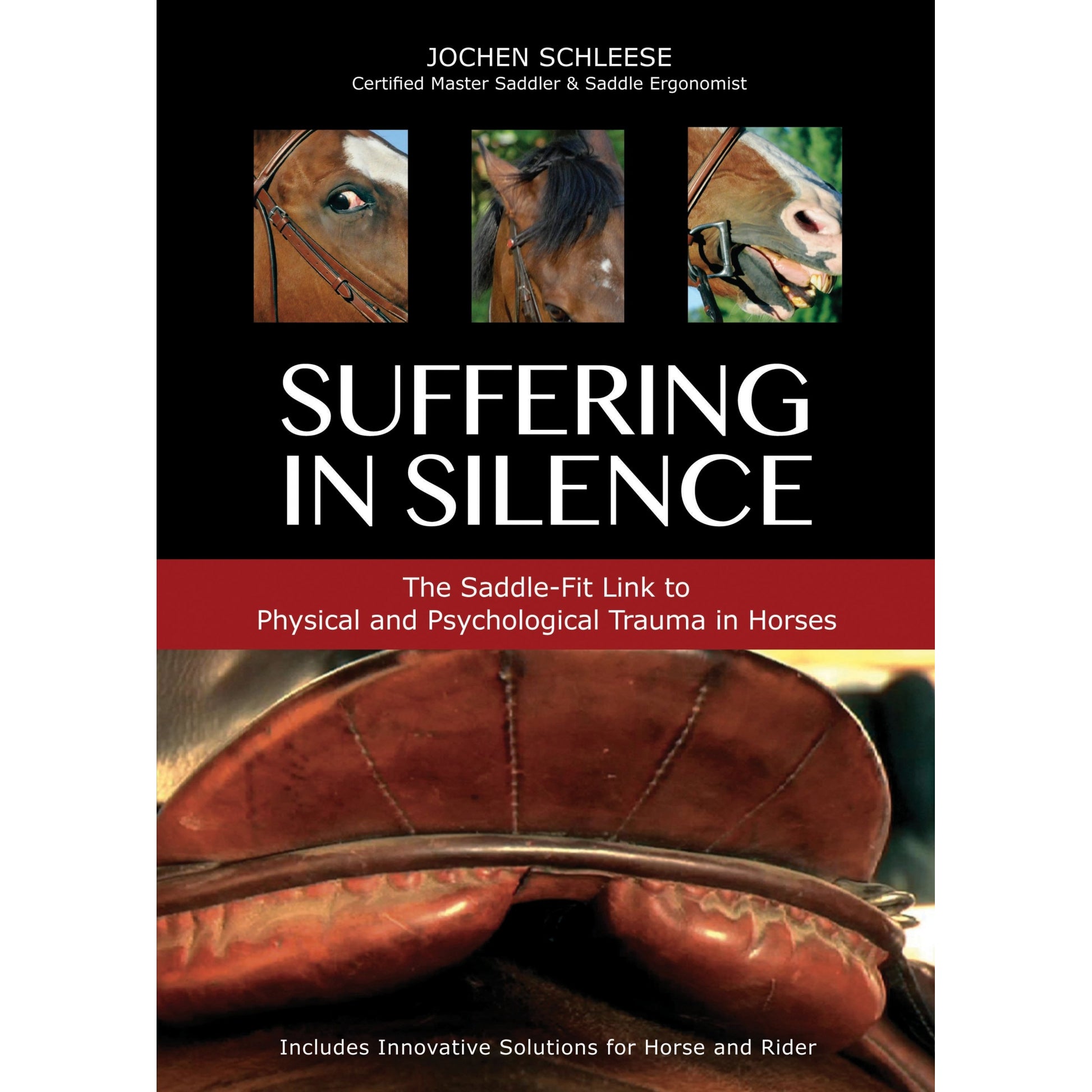 Suffering in Silence - Jochen Schleese