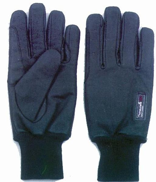 Waterproof/Thinsulate Ladies Winter Gloves