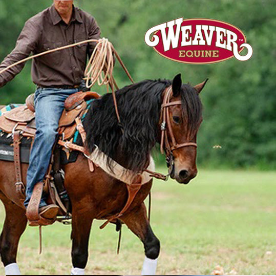 English Riding Chaps & Half Chaps - Leather, Suede & More– HorseLoverZ