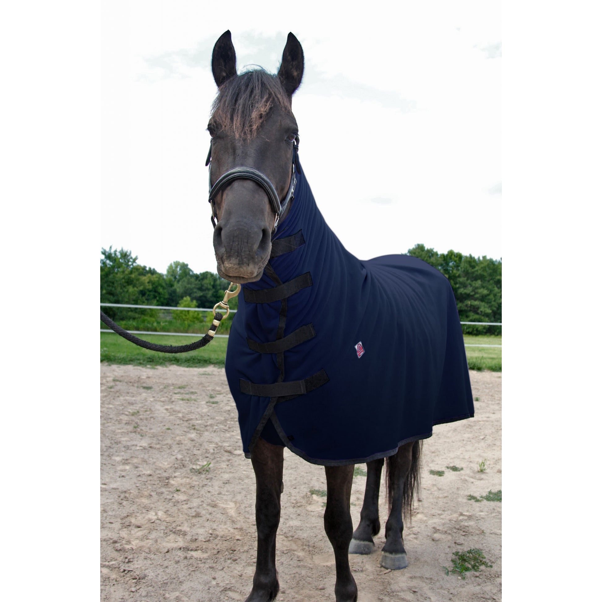 WikSmart Premium Cooler - Dry Your Horse in Half the Time!