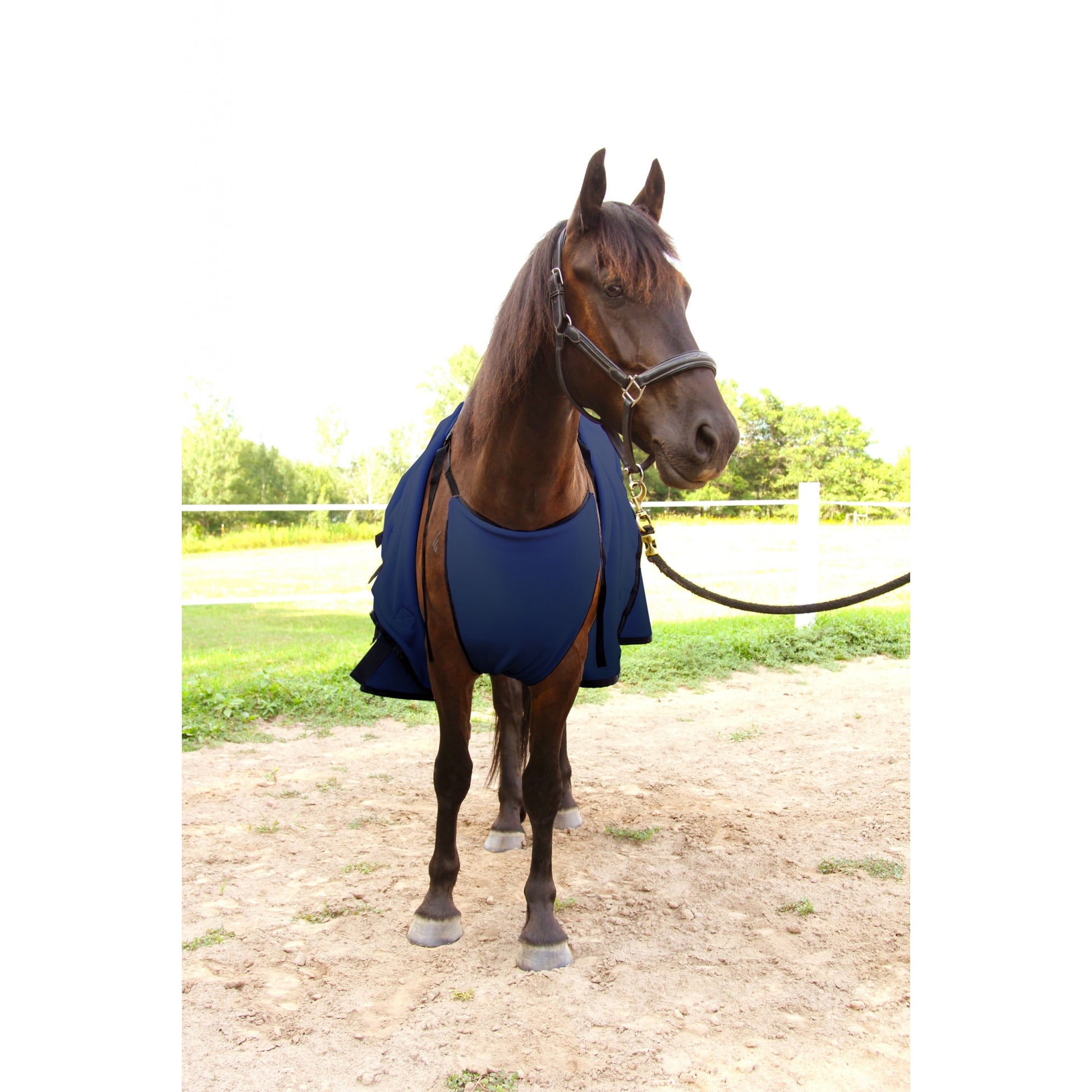 WikSmart Premium Cooler - Dry Your Horse in Half the Time!