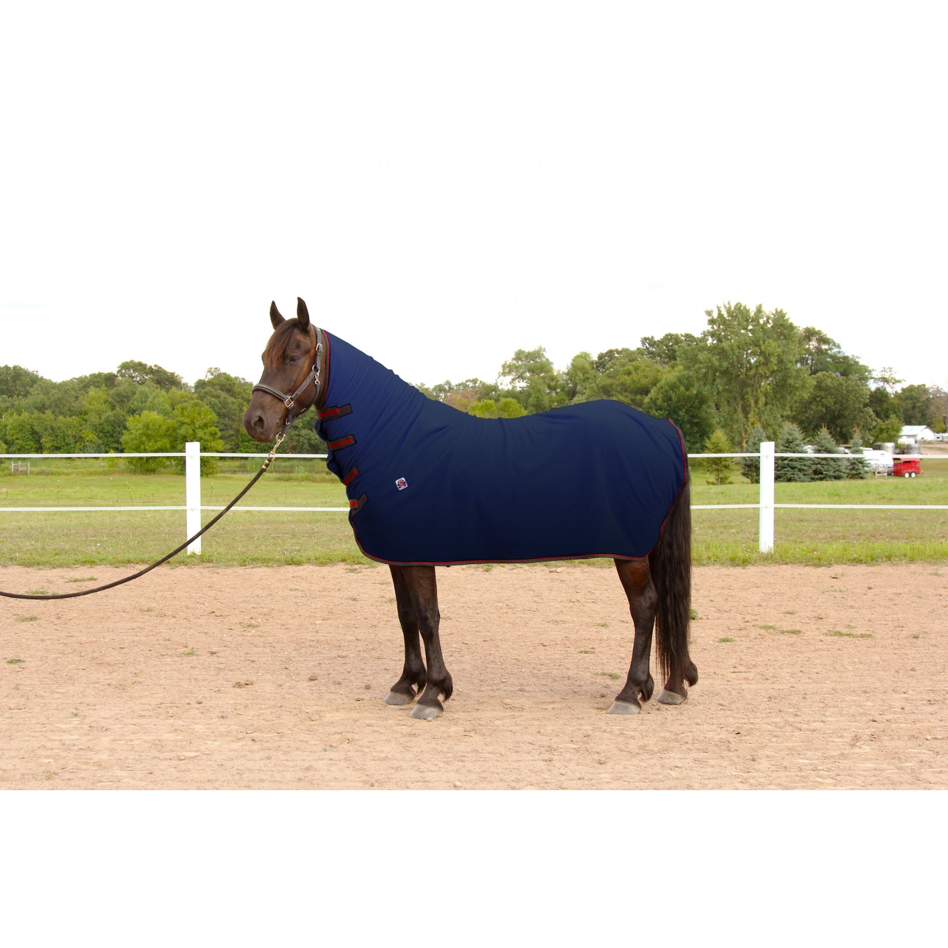WikSmart Premium Cooler - Dry Your Horse in Half the Time!