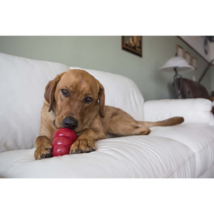 KONG Snacks For Dogs
