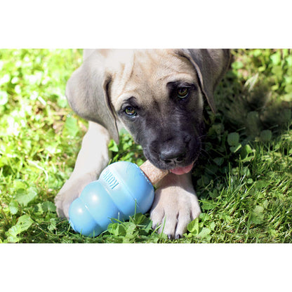 KONG Ziggies Puppy Treats
